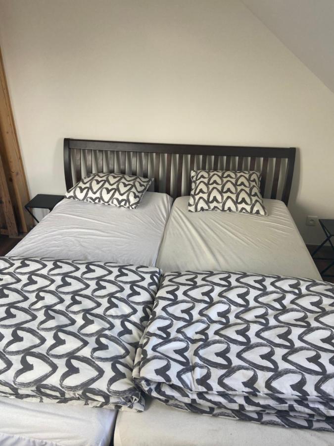 리베레츠 Horsky Apartman Pod Jestedem 아파트 외부 사진